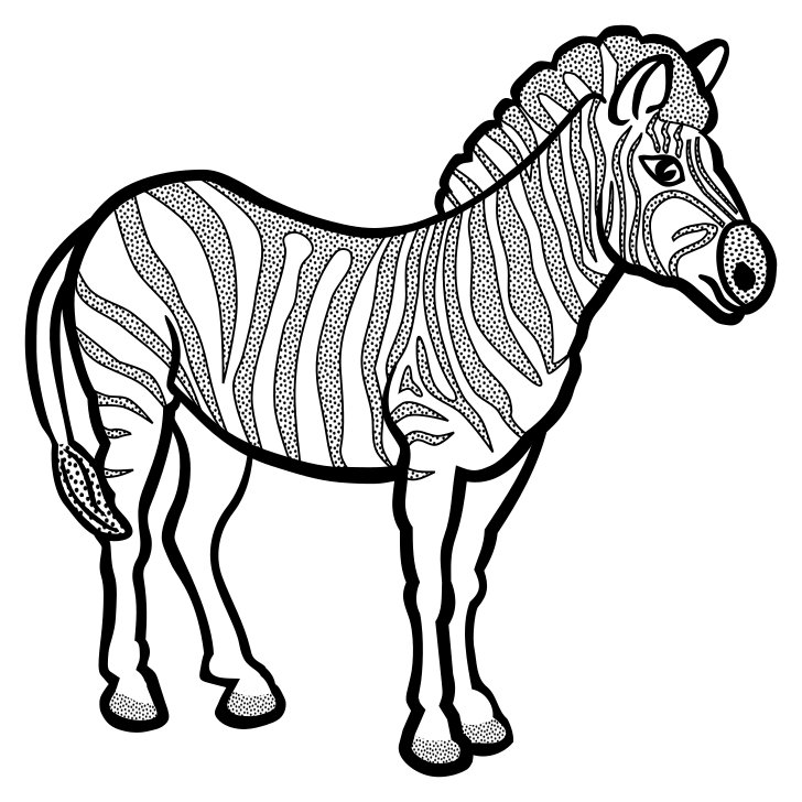 Omalovnka, obrzek Zebra - Zvata - k vytisknut, pro dti k vybarven zdarma, online ke staen a vytitn