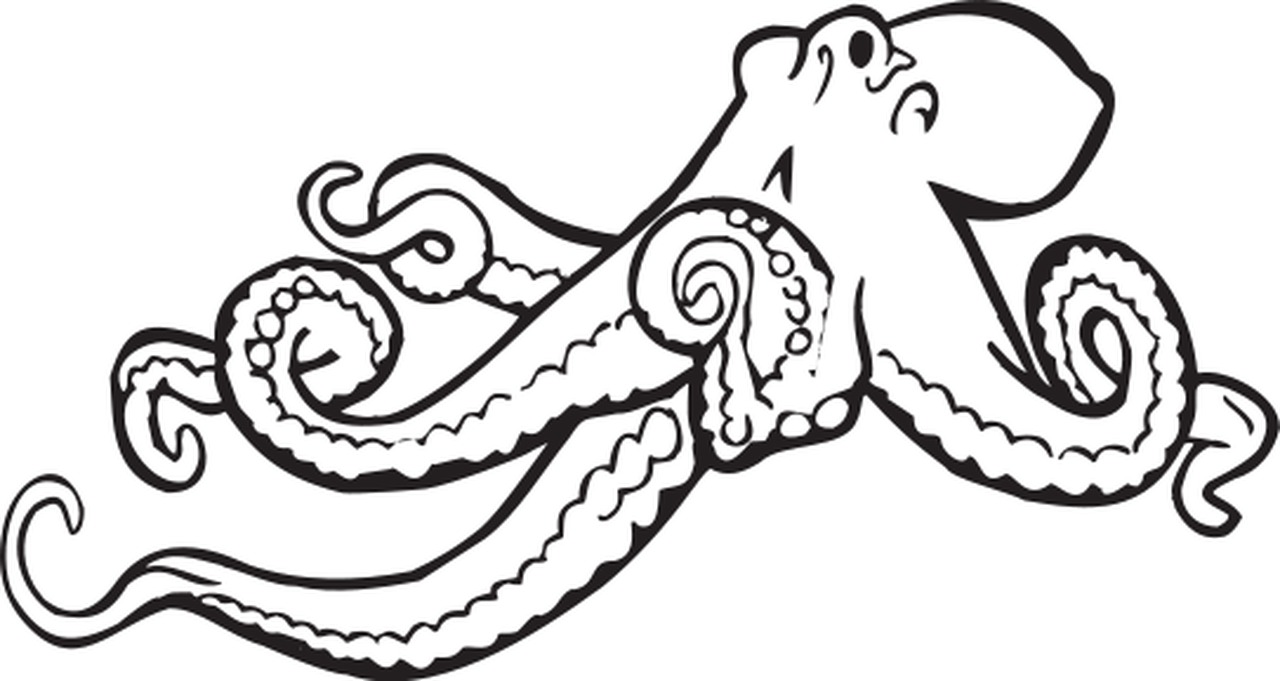 Omalovánka chobotnice k vytisknutí na A4