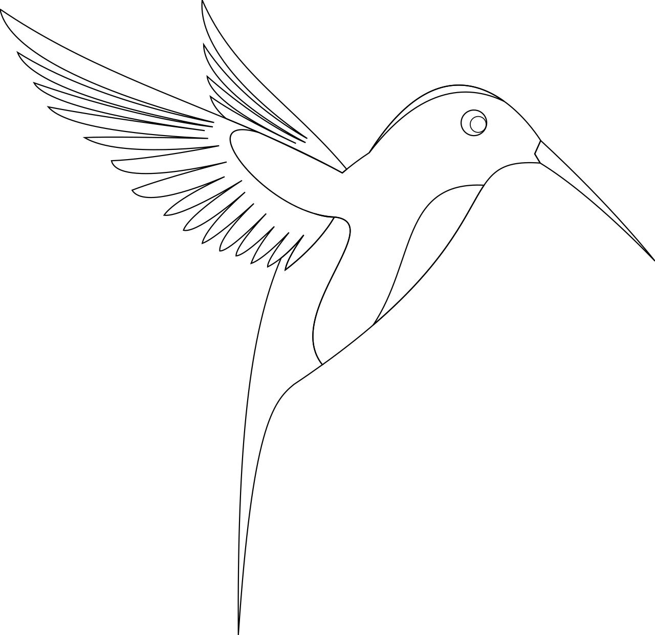 Omalovánka kolibřík k vytisknutí na A4