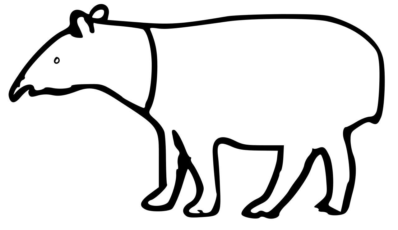 Omalovánka tapír k vytisknutí na A4