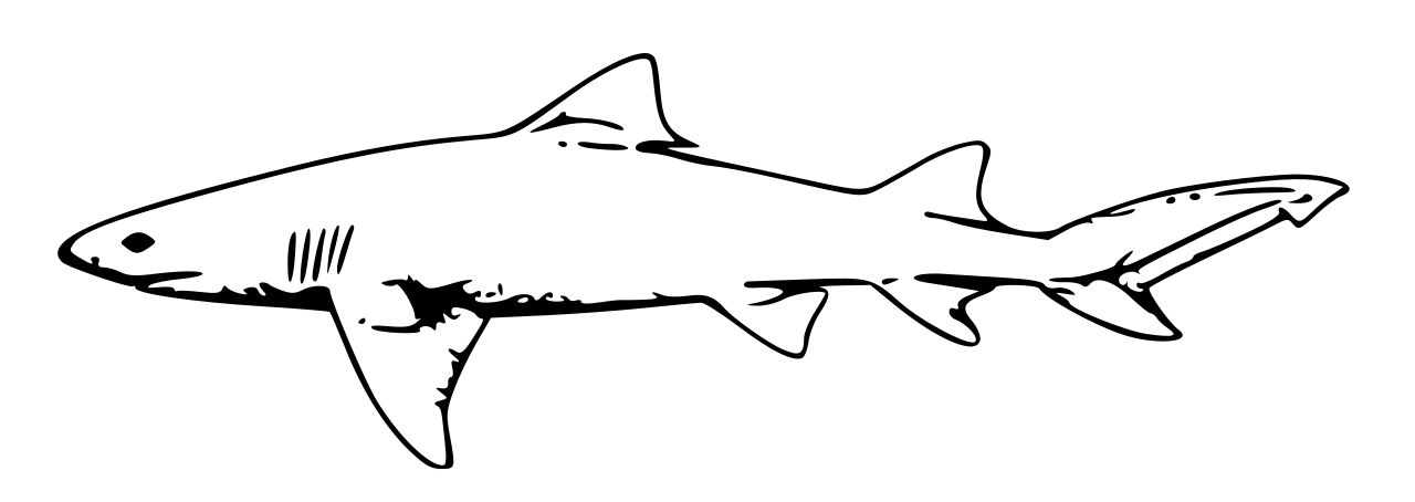 Omalovánka Žralok k vytisknutí na A4