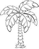 Kokosová palma - obrázek, omalovánka k tisku