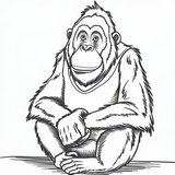 Orangutan