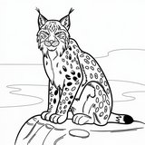 Rys