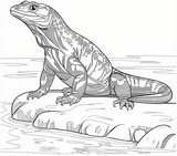 Varan