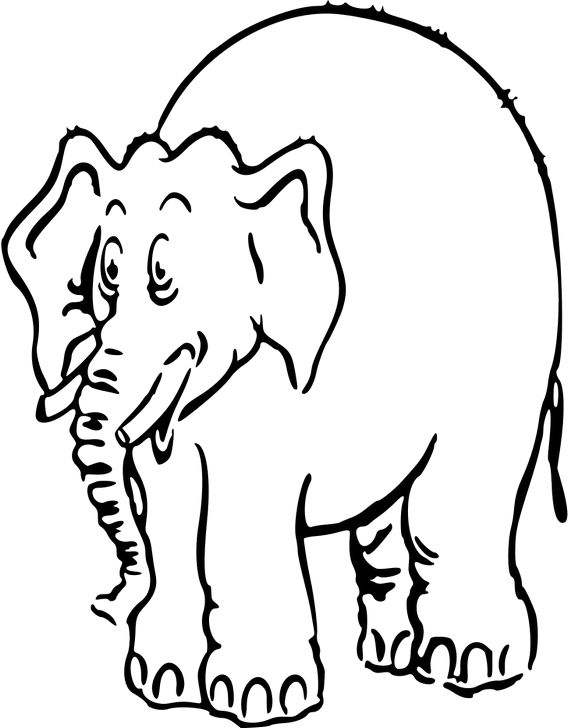 Omalovánka, obrázek Africký slon - Zvířata - k vytisknutí, pro děti k vybarvení zdarma, online ke stažení a vytištění
