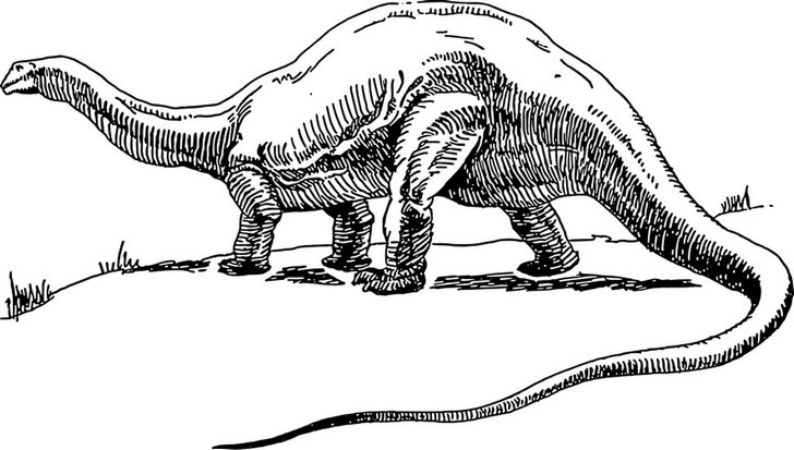Omalovánka, obrázek Dinosaurus - Zvířata - k vytisknutí, pro děti k vybarvení zdarma, online ke stažení a vytištění