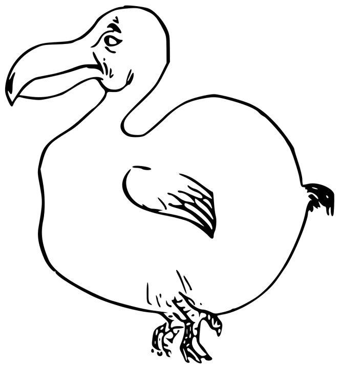 Omalovánka, obrázek Dodo - Ptáci - k vytisknutí, pro děti k vybarvení zdarma, online ke stažení a vytištění