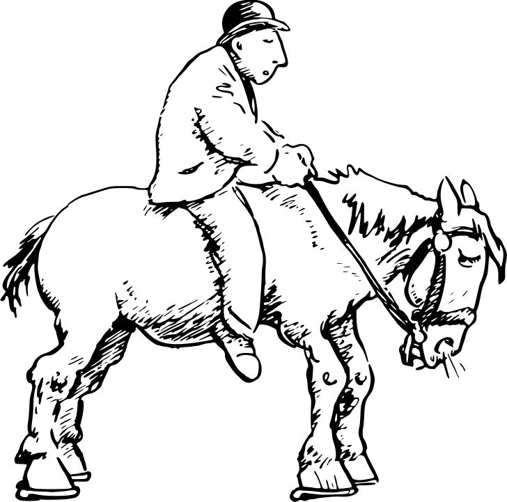 Omalovánka, obrázek Jezdec na koni - Zvířata - k vytisknutí, pro děti k vybarvení zdarma, online ke stažení a vytištění