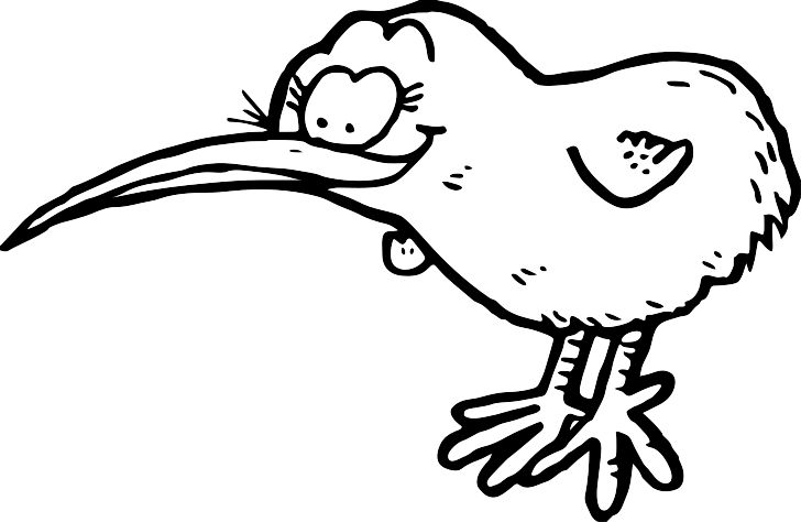 Omalovánka, obrázek Kiwi - Ptáci - k vytisknutí, pro děti k vybarvení zdarma, online ke stažení a vytištění