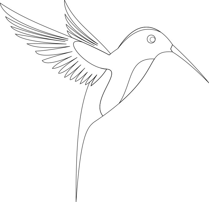Omalovánka, obrázek Kolibřík - Ptáci - k vytisknutí, pro děti k vybarvení zdarma, online ke stažení a vytištění