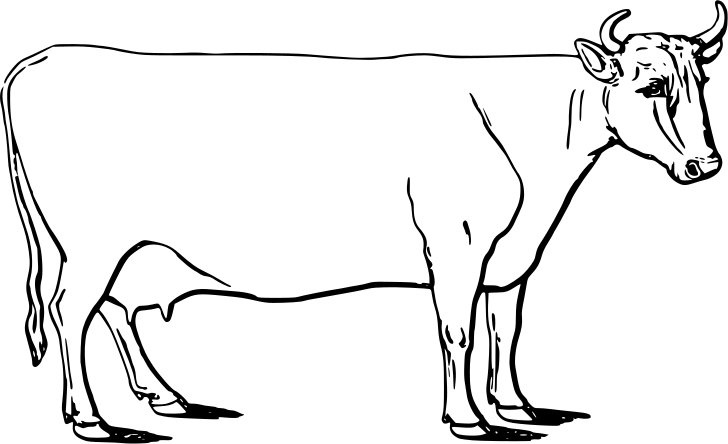 Omalovánka, obrázek Kráva - Zvířata - k vytisknutí, pro děti k vybarvení zdarma, online ke stažení a vytištění