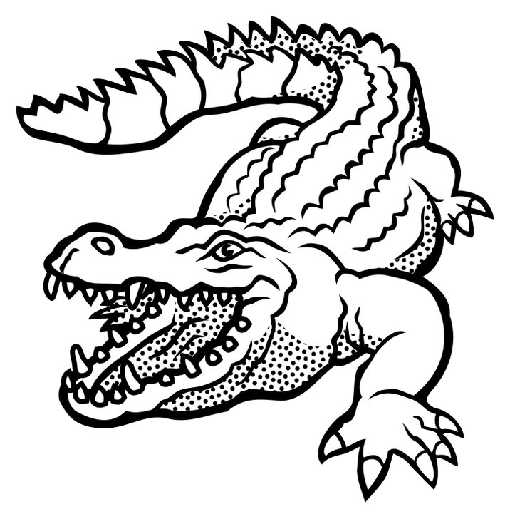Omalovánka, obrázek Krokodýl - Zvířata - k vytisknutí, pro děti k vybarvení zdarma, online ke stažení a vytištění