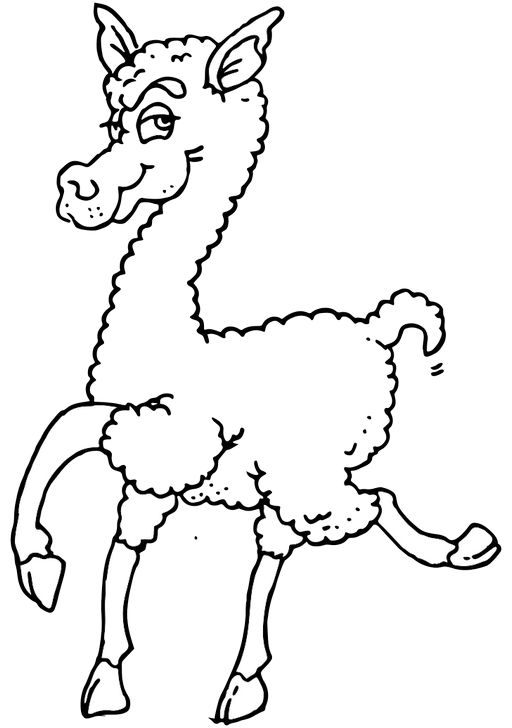 Omalovánka, obrázek Lama alpaka - Zvířata - k vytisknutí, pro děti k vybarvení zdarma, online ke stažení a vytištění
