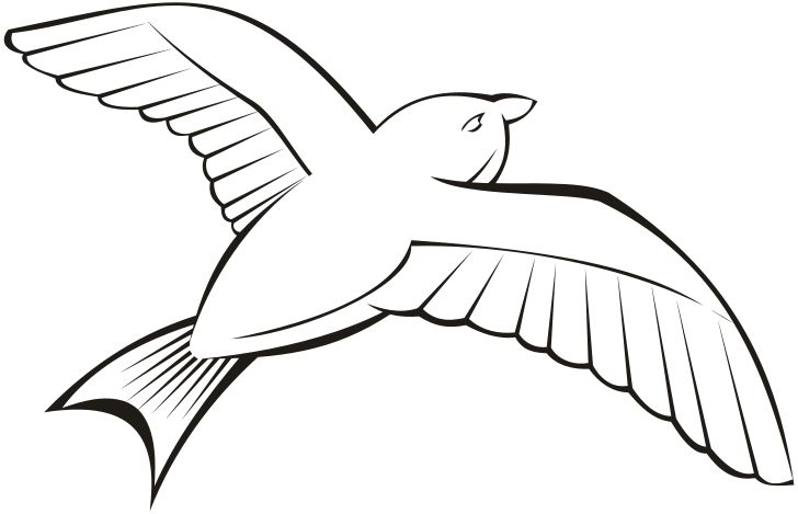 Omalovánka, obrázek Letící pták - Ptáci - k vytisknutí, pro děti k vybarvení zdarma, online ke stažení a vytištění