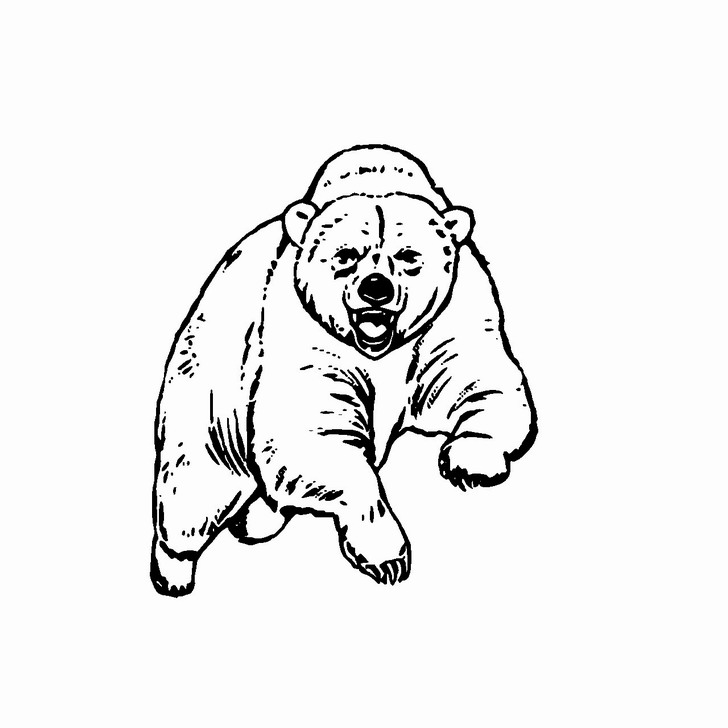 Omalovánka, obrázek Medvěd - Zvířata - k vytisknutí, pro děti k vybarvení zdarma, online ke stažení a vytištění
