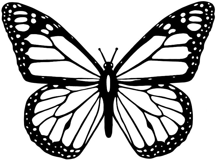 Omalovánka, obrázek Motýlek - Zvířata - k vytisknutí, pro děti k vybarvení zdarma, online ke stažení a vytištění