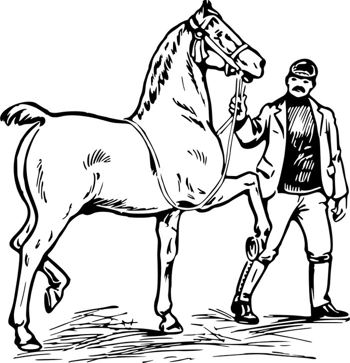 Omalovánka, obrázek Muž a kůň - Zvířata - k vytisknutí, pro děti k vybarvení zdarma, online ke stažení a vytištění