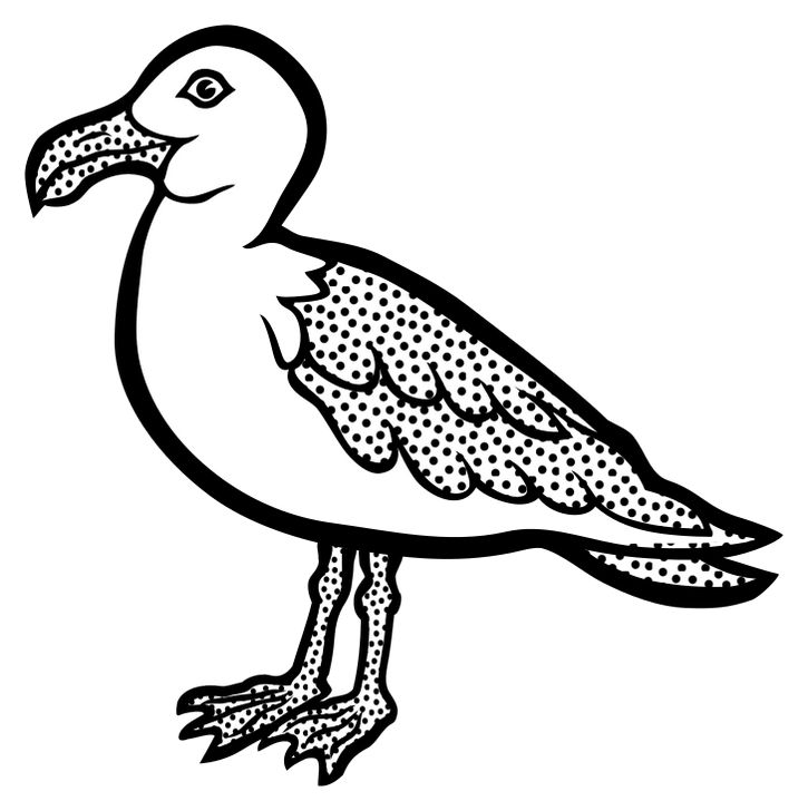 Omalovánka, obrázek Racek - Ptáci - k vytisknutí, pro děti k vybarvení zdarma, online ke stažení a vytištění