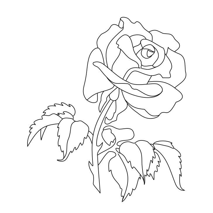 Omalovánka, obrázek Růže - Květiny - k vytisknutí, pro děti k vybarvení zdarma, online ke stažení a vytištění