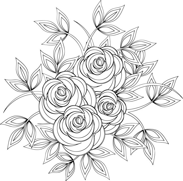 Omalovánka, obrázek Růžičky - Květiny - k vytisknutí, pro děti k vybarvení zdarma, online ke stažení a vytištění