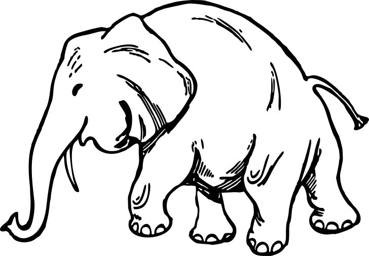 Omalovánka, obrázek Slon africký - Zvířata - k vytisknutí, pro děti k vybarvení zdarma, online ke stažení a vytištění