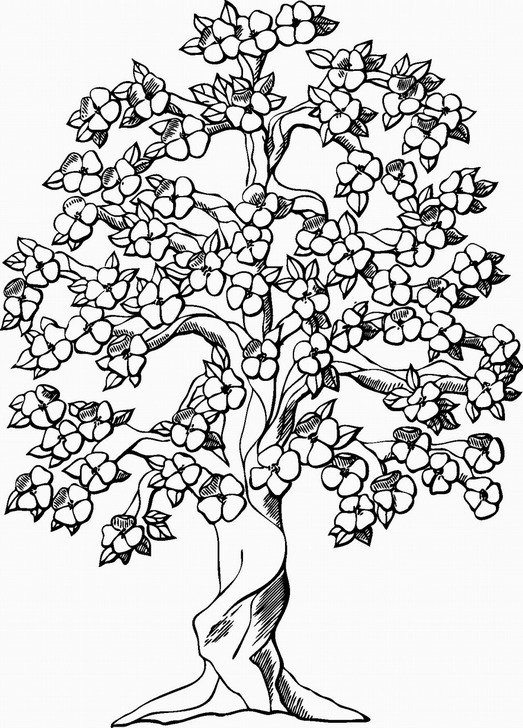 Omalovánka, obrázek Strom - Květiny - k vytisknutí, pro děti k vybarvení zdarma, online ke stažení a vytištění